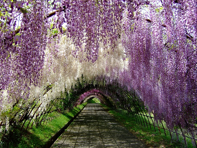 huzi_tunnel_080507.jpg