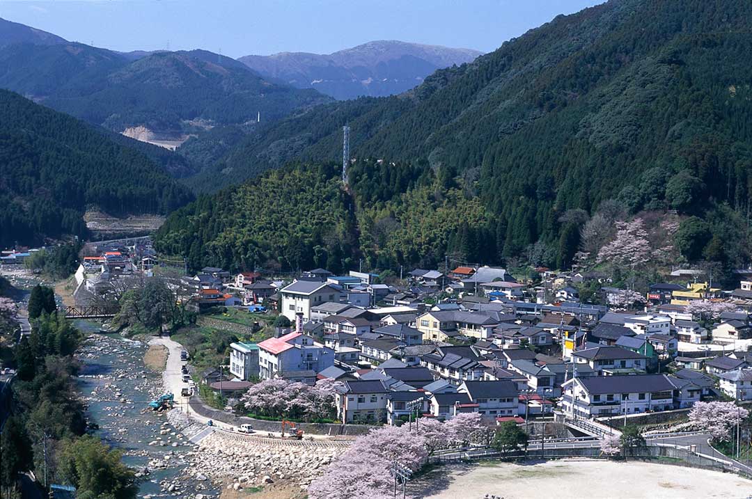 1521862515_1.jpg