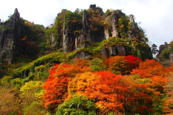 c2d05dd652d9f93fd2ca5e9ca67d11df.png 九州 赏红叶