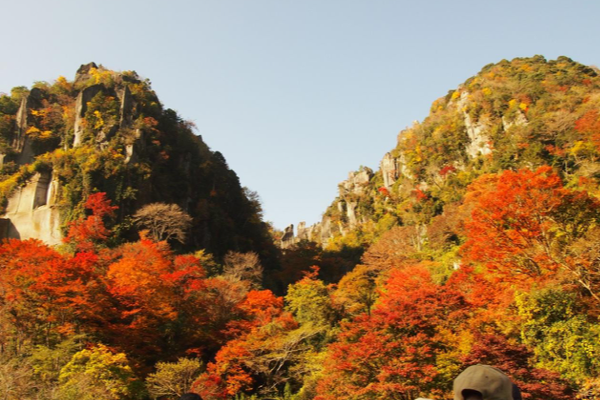 f6ad8c5d879294fec93b50bea76cee16.png 九州 赏红叶