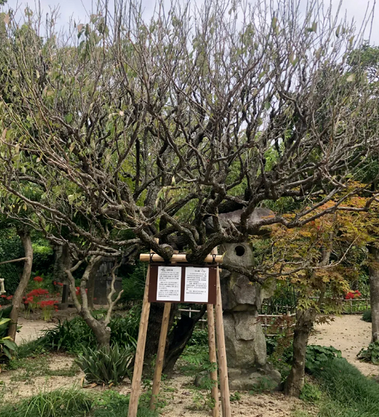 微信图片_20210323153944.png